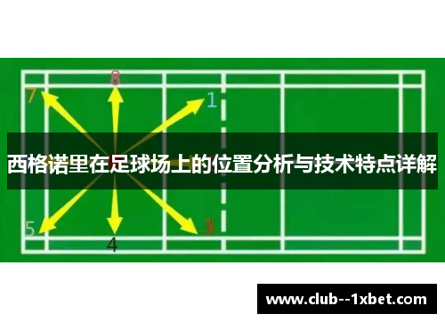 西格诺里在足球场上的位置分析与技术特点详解 西格诺里在足球场上的位置分析与技术特点详解