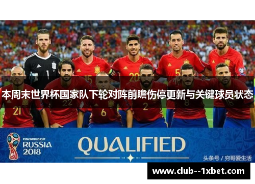 本周末世界杯国家队下轮对阵前瞻伤停更新与关键球员状态 本周末世界杯国家队下轮对阵前瞻伤停更新与关键球员状态